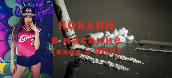 сатива Вязьма