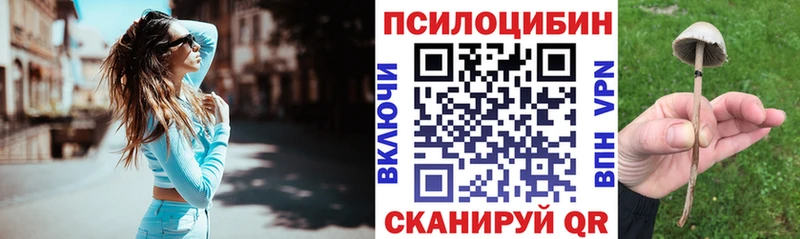 Псилоцибиновые грибы Magic Shrooms Орск